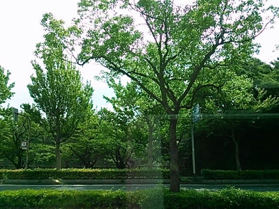 a0275715_10323444.jpg