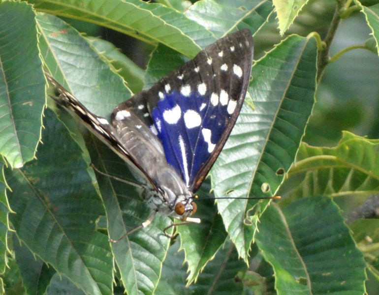 c0042418_812178.jpg