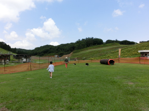 e0179321_2041350.jpg