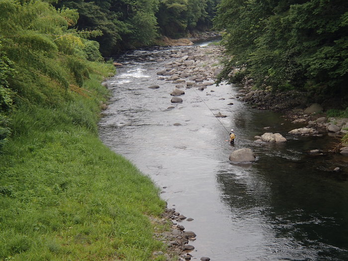 d0172227_6443488.jpg