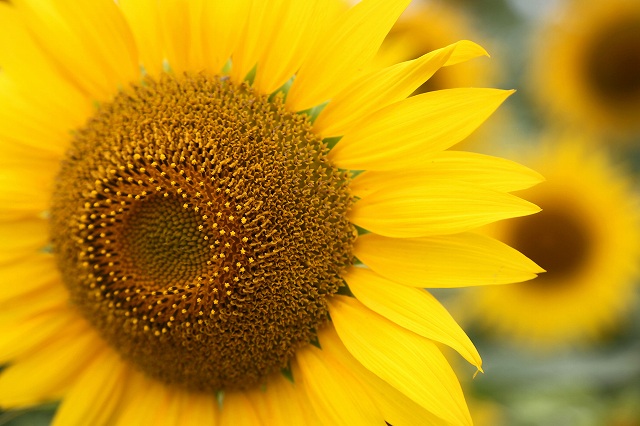 a0242438_1932319.jpg