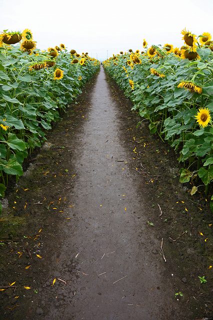 a0242438_19324164.jpg