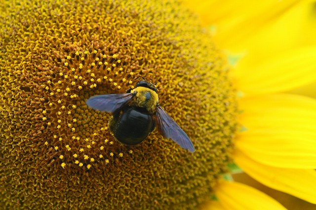 a0242438_19341335.jpg