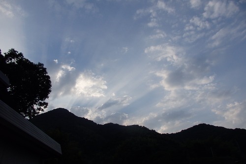 a0054240_22481377.jpg