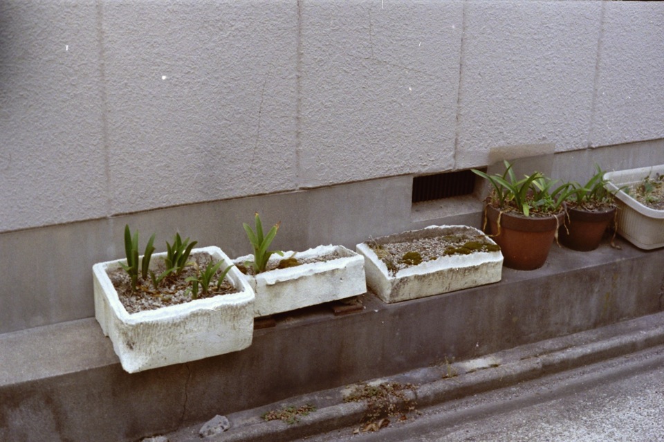 d0089742_0325091.jpg