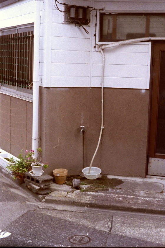 d0089742_0341643.jpg