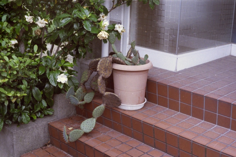 d0089742_1162671.jpg
