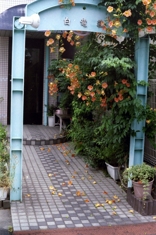 d0089742_123676.jpg