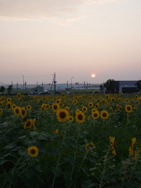 f0050651_20504015.jpg