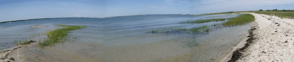 c0055857_3545566.jpg