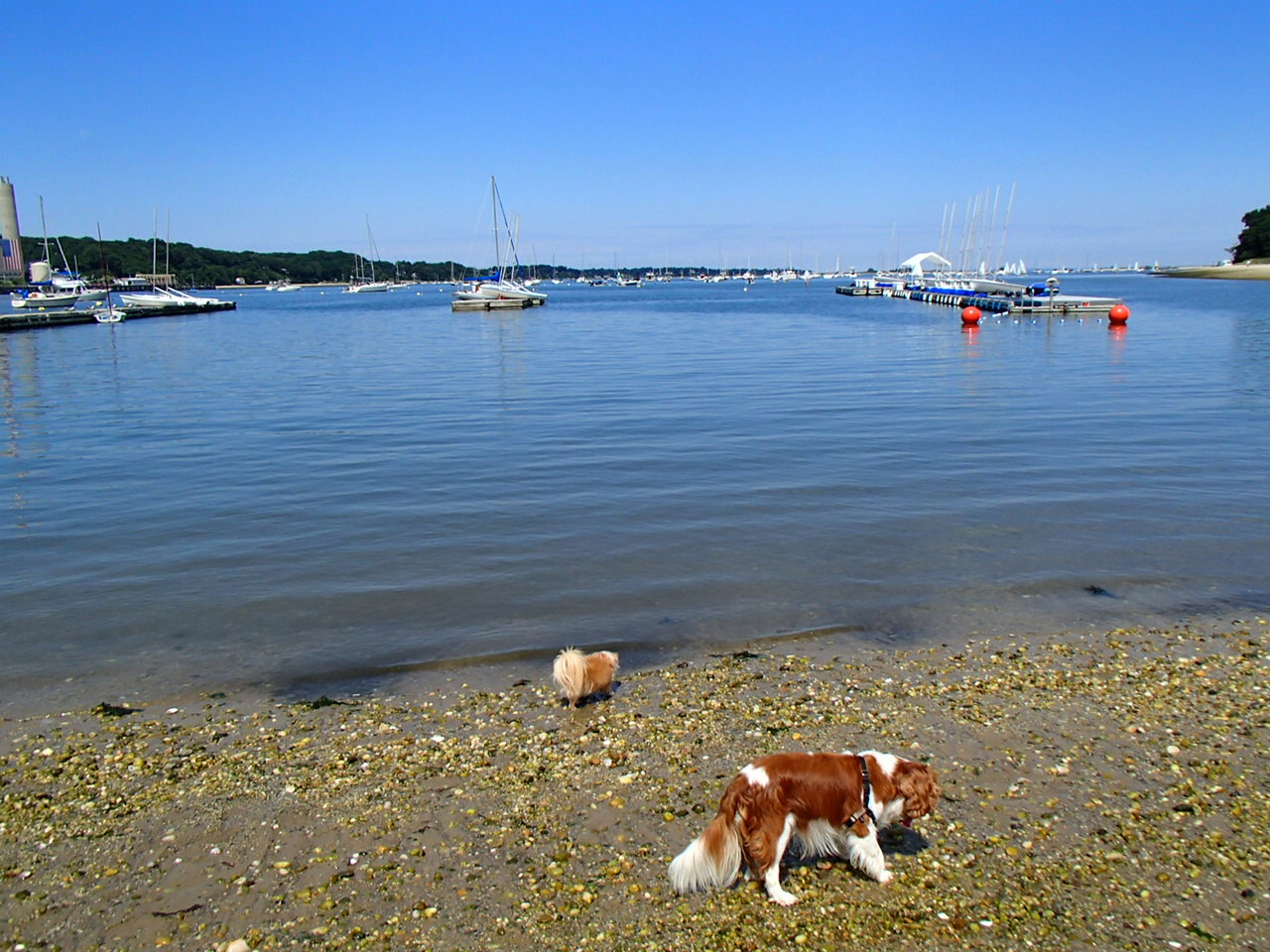 c0055857_41449.jpg