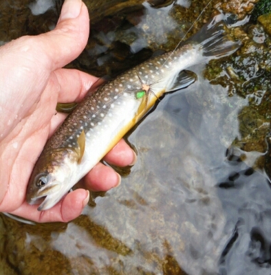 b0304662_18374778.jpg