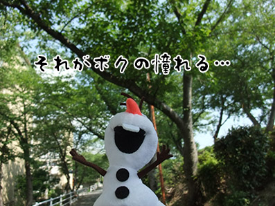 b0059664_10254149.jpg