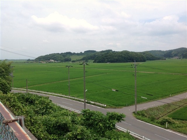 d0028665_18375560.jpg