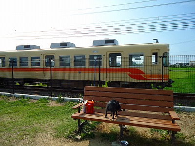 e0002466_19215175.jpg
