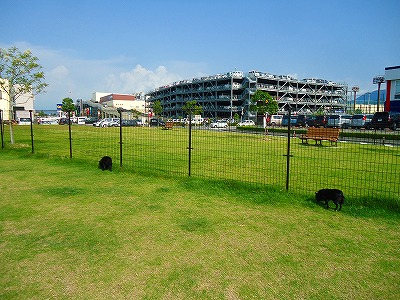 e0002466_19232798.jpg