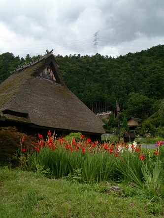 f0146466_225949.jpg