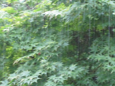 b0149071_1743234.jpg