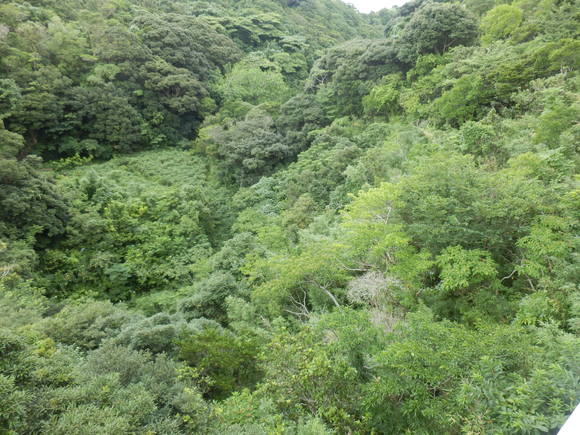 e0292172_2057353.jpg