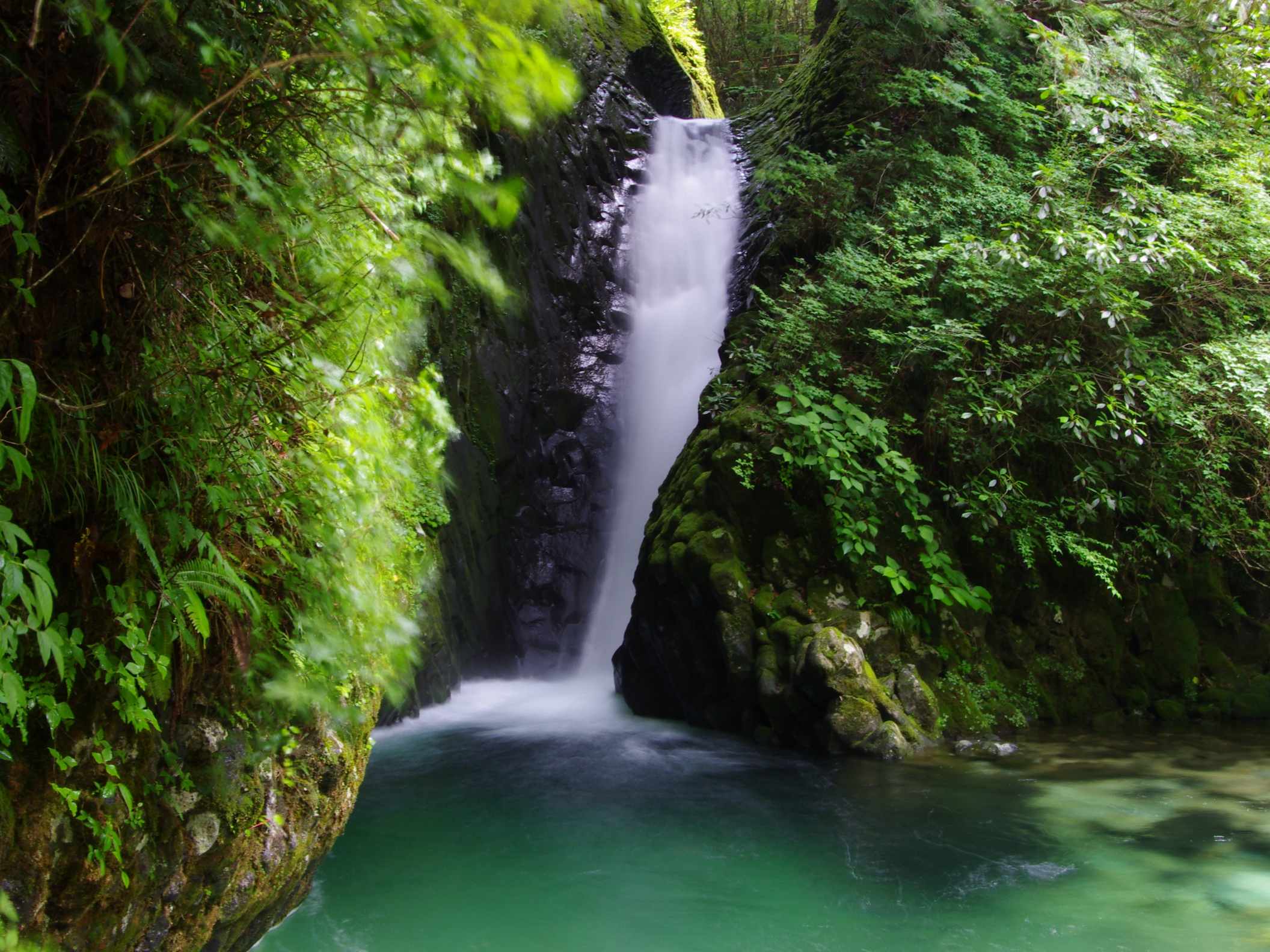 小坂の滝めぐり(岐阜県) ブナの写真日記