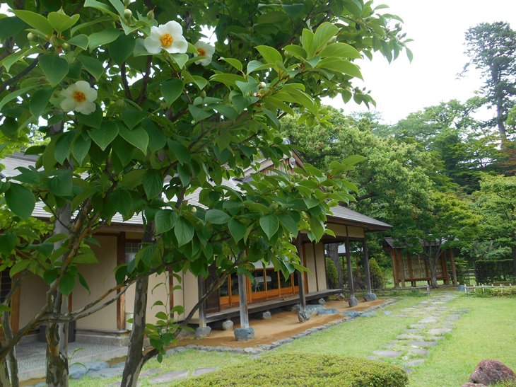 c0198781_758912.jpg