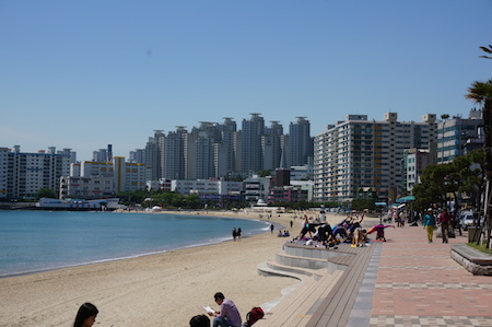e0194987_1601592.jpg