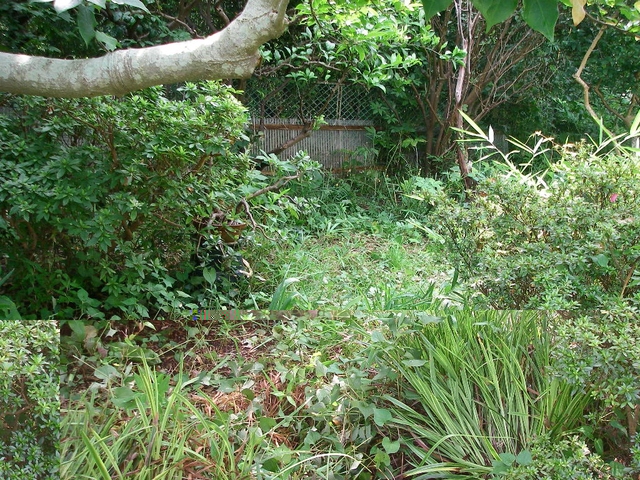 d0046294_937115.jpg