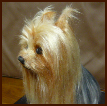 d0282395_1045354.png
