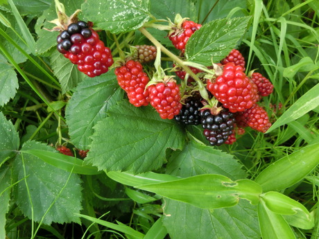 a0203003_11144134.jpg