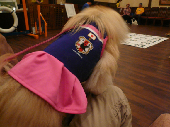 f0301306_13243716.jpg