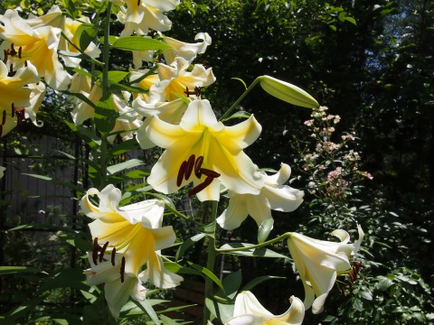 c0117007_17514677.jpg