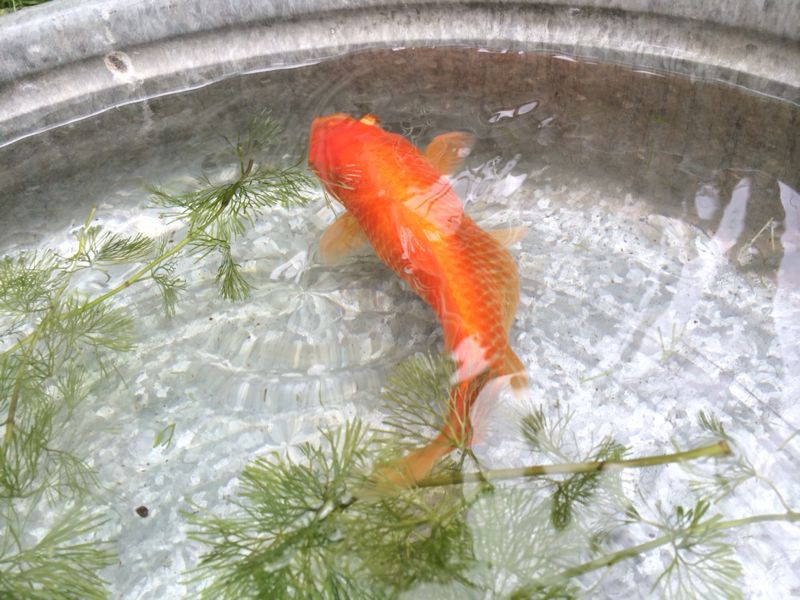 f0155808_16445971.jpg