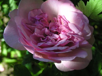 f0325309_12202121.jpg
