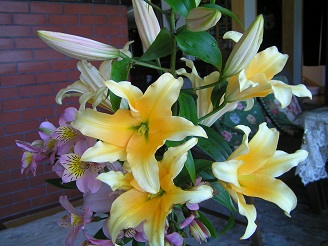 f0325309_12204959.jpg