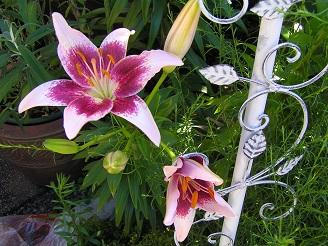 f0325309_12211014.jpg
