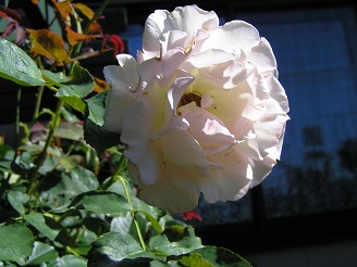 f0325309_12232965.jpg