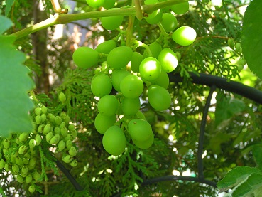 f0325309_12251934.jpg