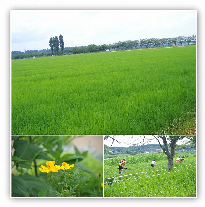 d0147812_2032150.jpg