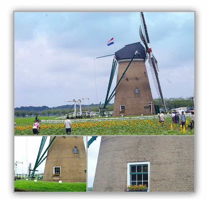 d0147812_20333753.jpg