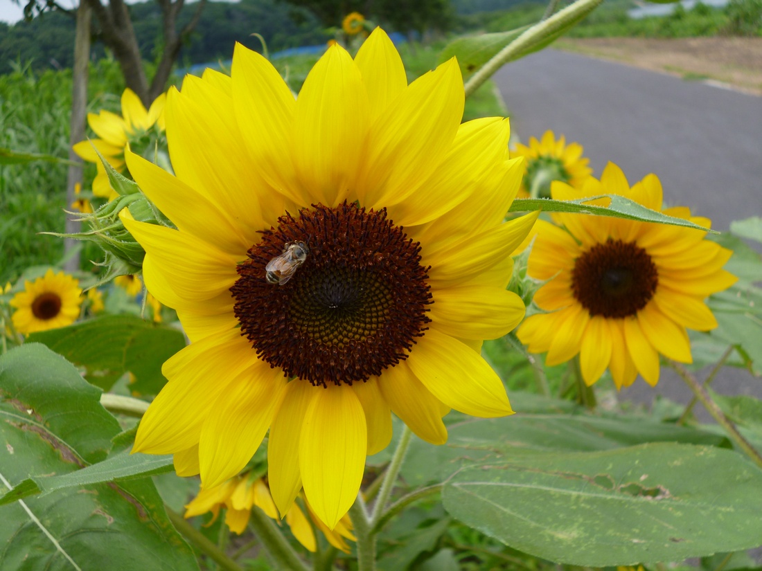 c0280416_12492860.jpg