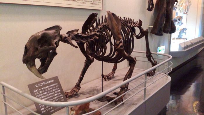 c0320623_0174067.jpg