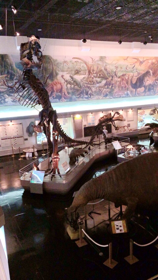 c0320623_0174318.jpg