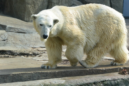 f0344626_09413660.jpg