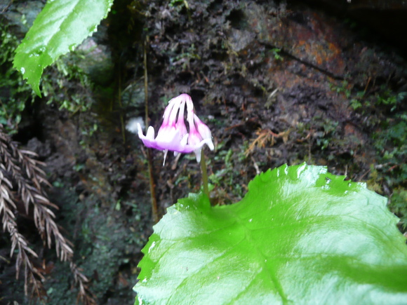 c0009528_21555452.jpg