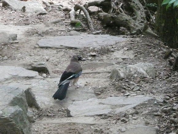 c0009528_2156720.jpg