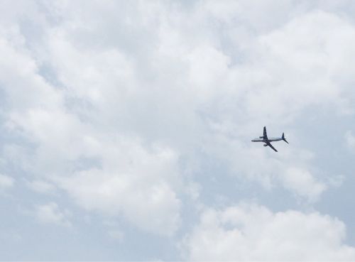 d0248528_4541629.jpg