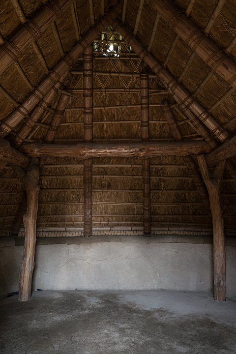 b0134829_2010425.jpg