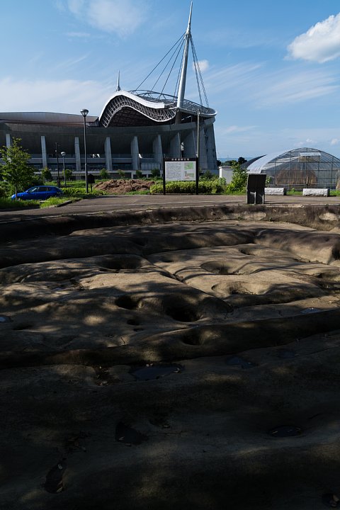 b0134829_2010582.jpg