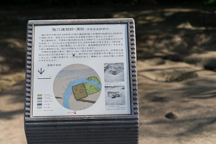 b0134829_20111236.jpg