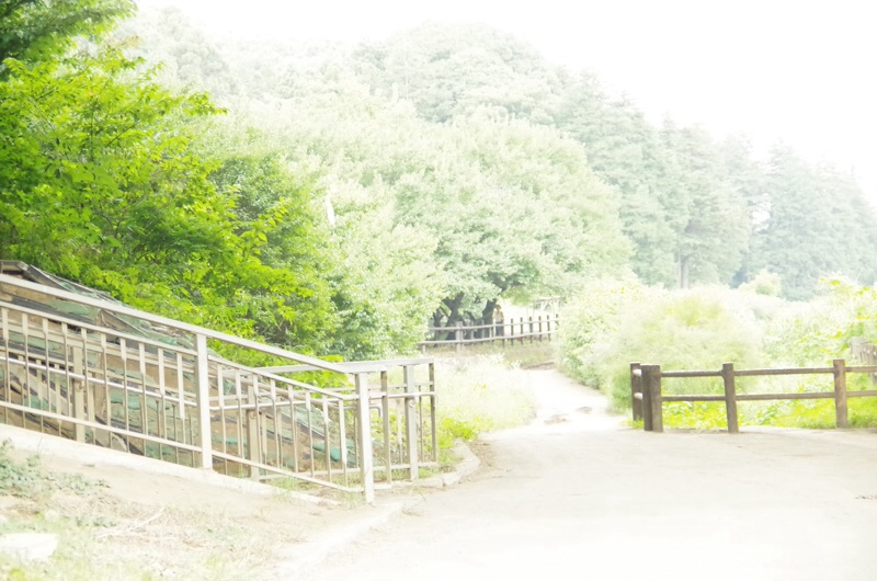 f0338831_12192717.jpg